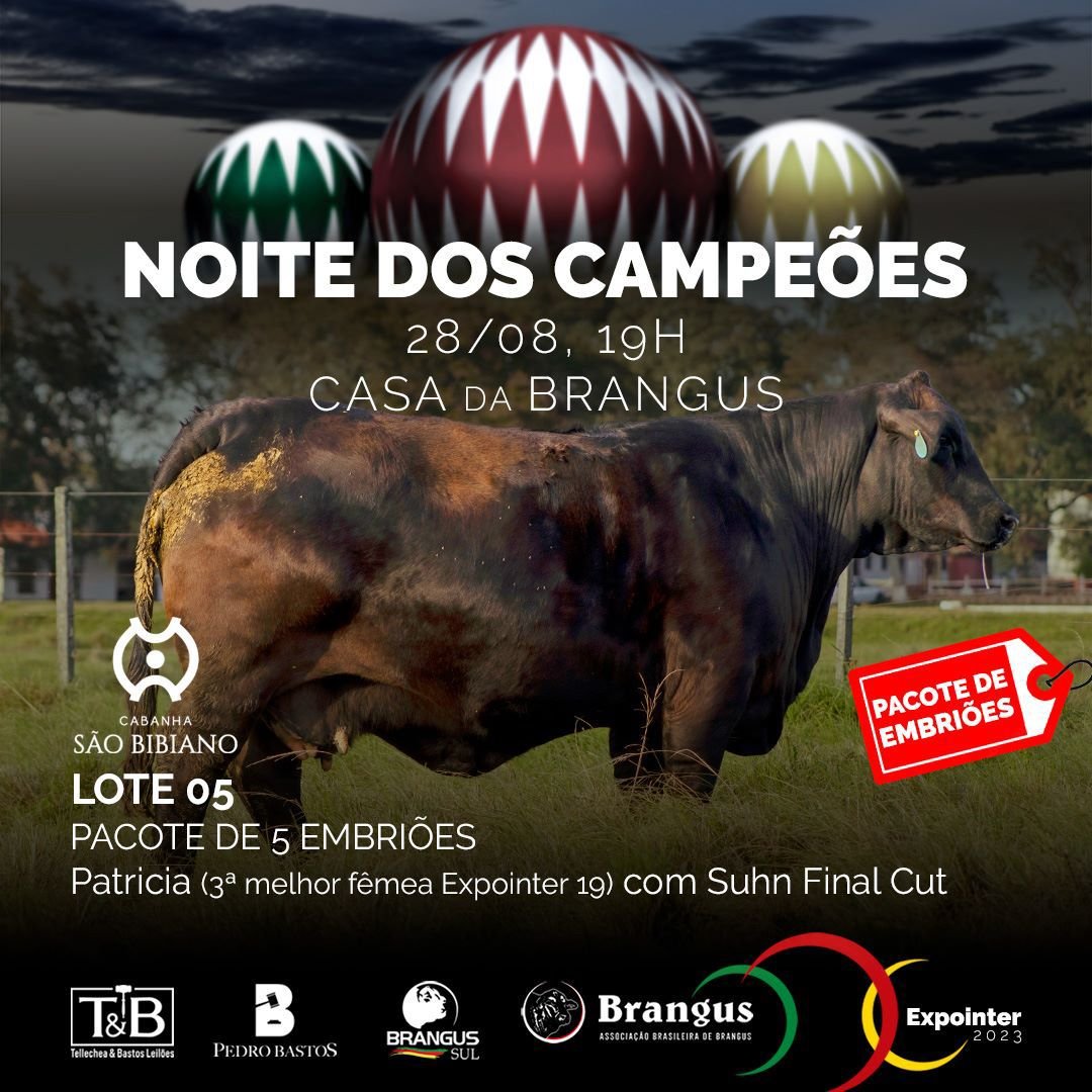 Noite dos Campeões Brangus 2023 — foto 5