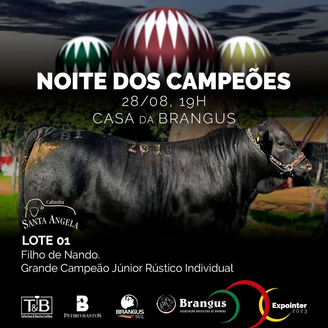 Noite dos Campeões Brangus 2023 — foto 6